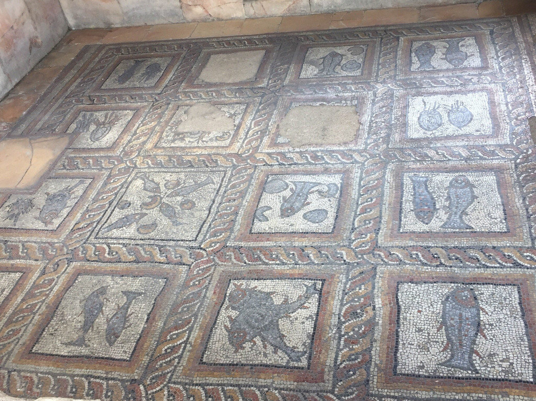 Montcaret Archaeological Site景点图片