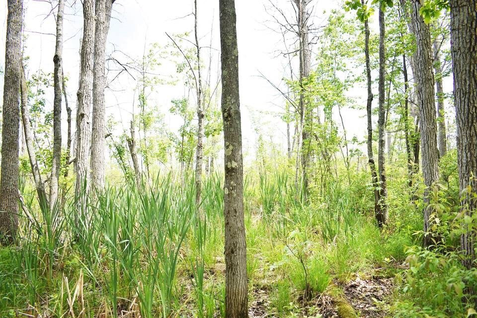 Missisquoi National Wildlife Refuge-Swanton必去景点
