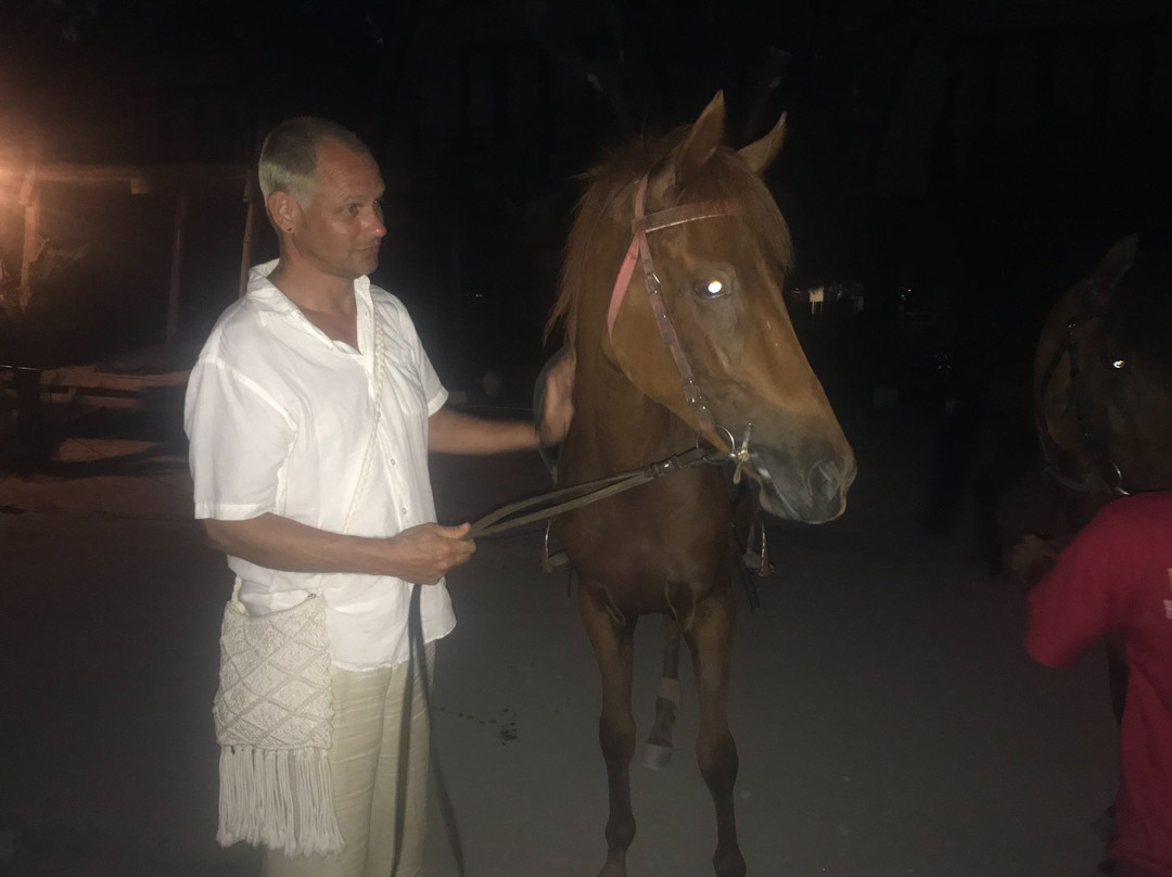 King Stable Horse Riding Tour-Gili Meno必去景点