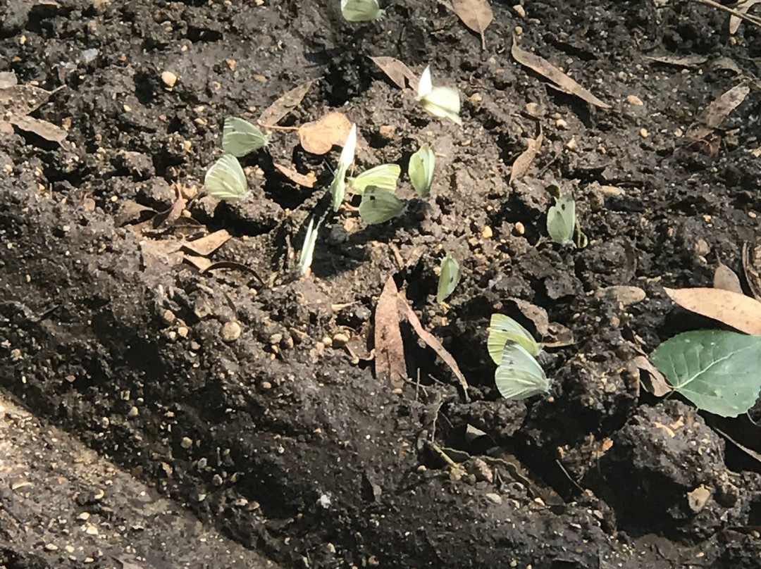 Oasi LIPU Castel di Guido-罗马必去景点