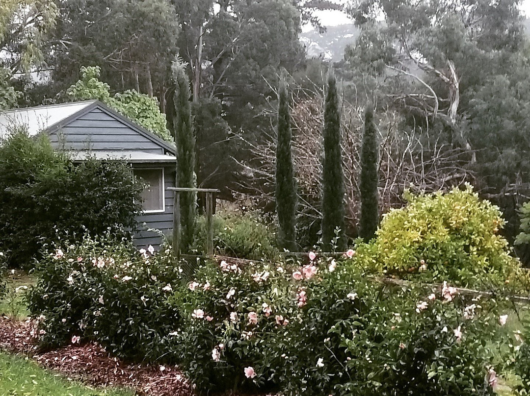 Summerhill Farm Bed & Breakfast主图