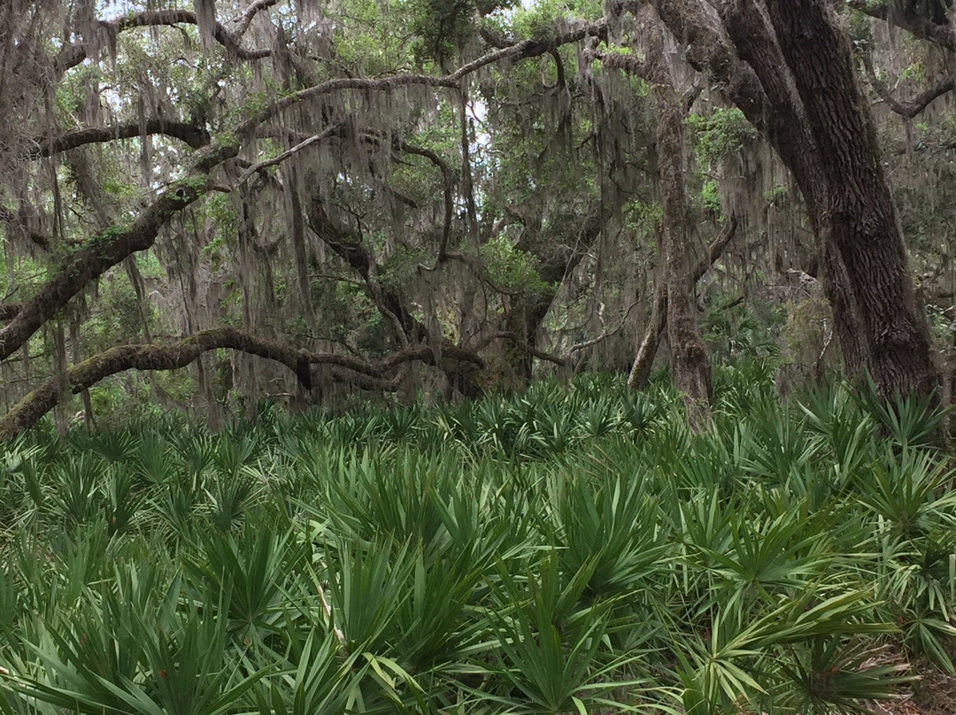 Blackbeard Island National Wildlife Refuge-萨凡纳必去景点