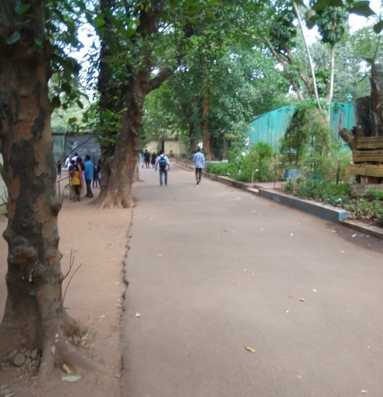 Thrissur Zoo & Museum景点图片