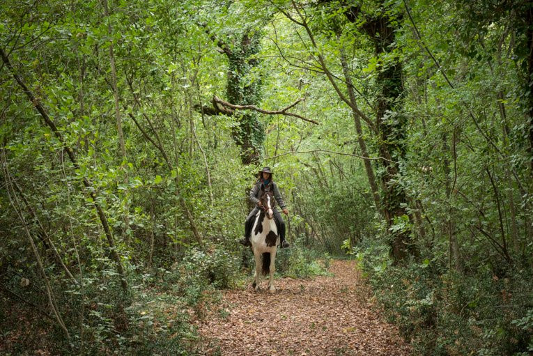 Borgo Pignano Horseback Riding景点图片