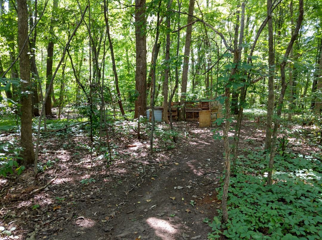 DarkFire Airsoft-Coldwater必去景点