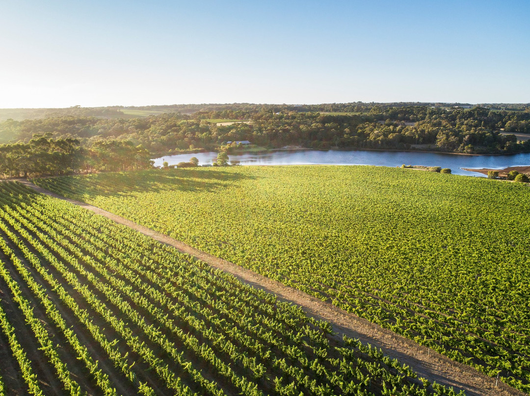 Sandalford Wines Margaret River景点图片