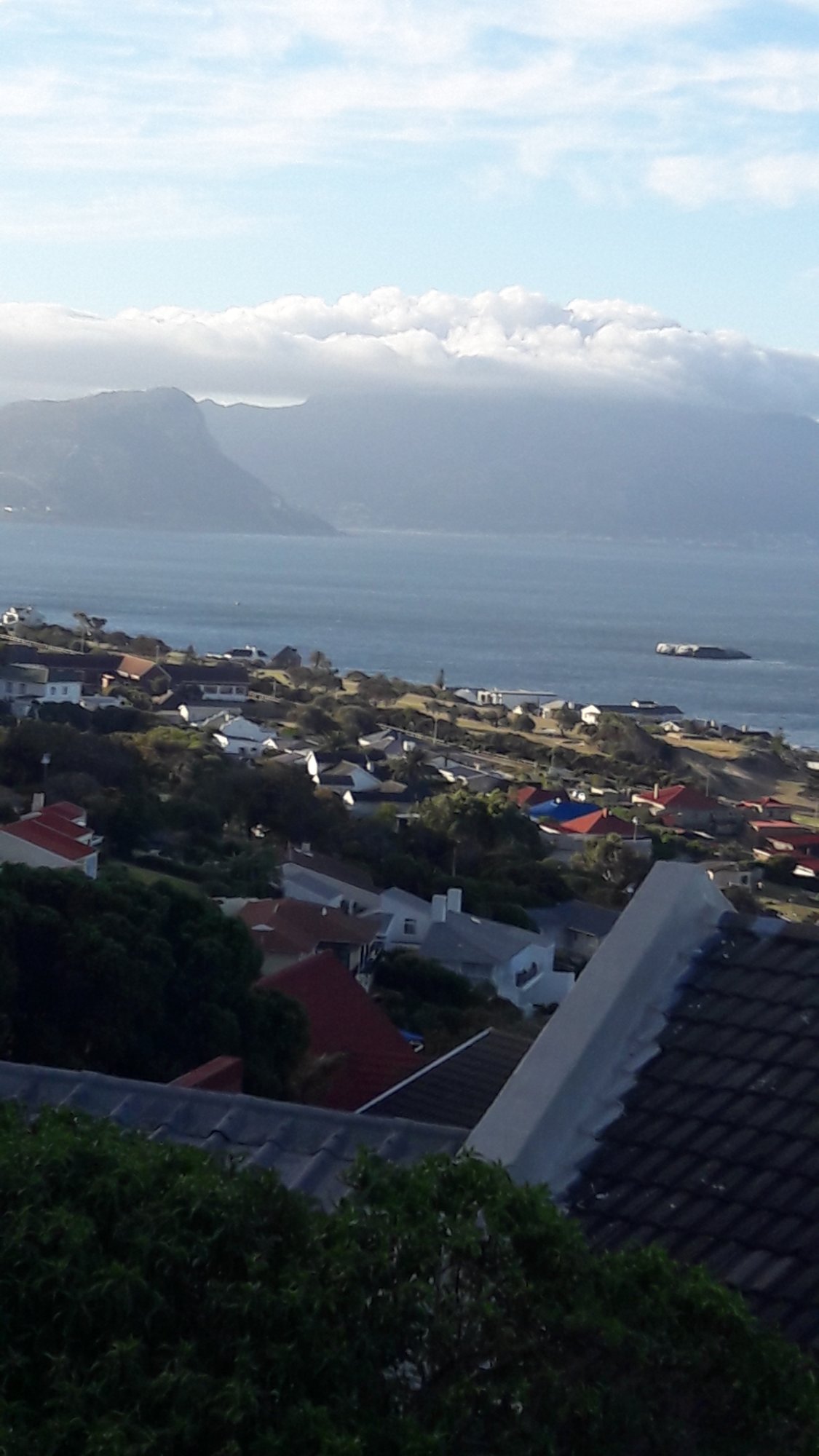 Penguinden-酒店景观