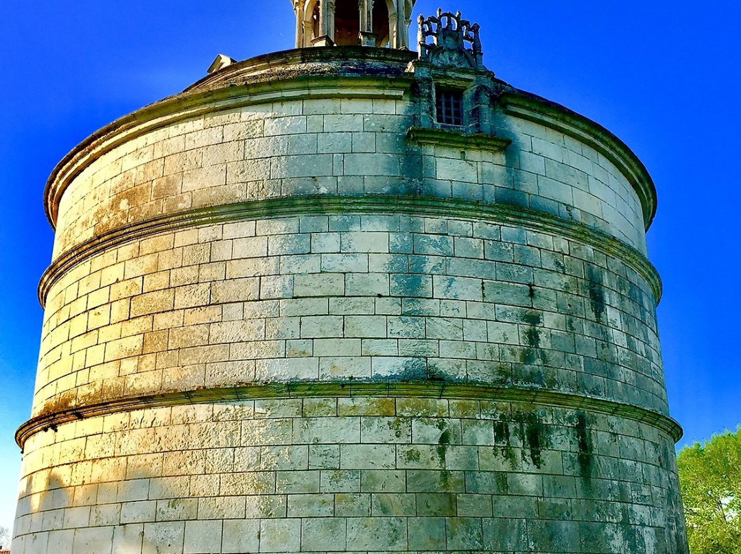 Pigeonnier de Montierneuf景点图片