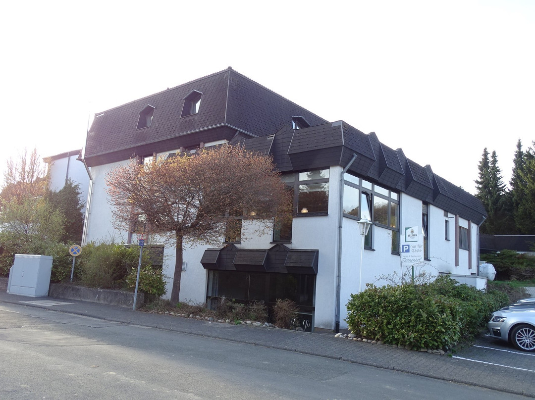 Hotel Tannenhof Haiger主图