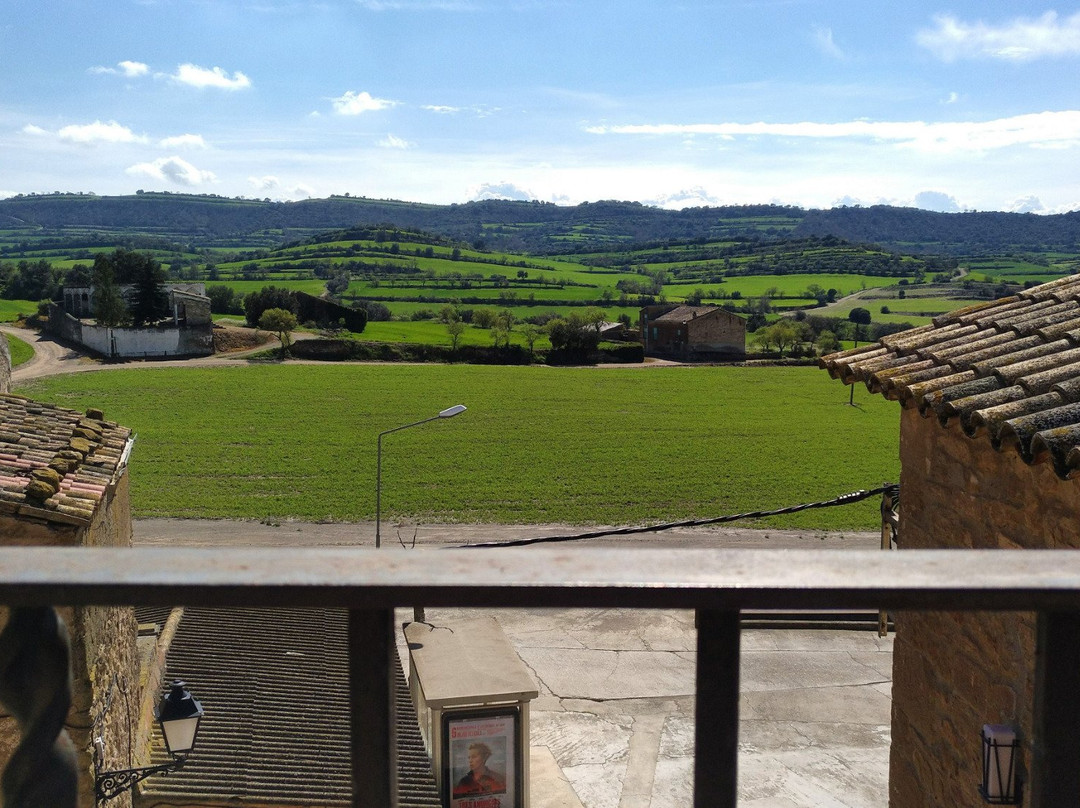 Hostal Palouet De Segarra主图