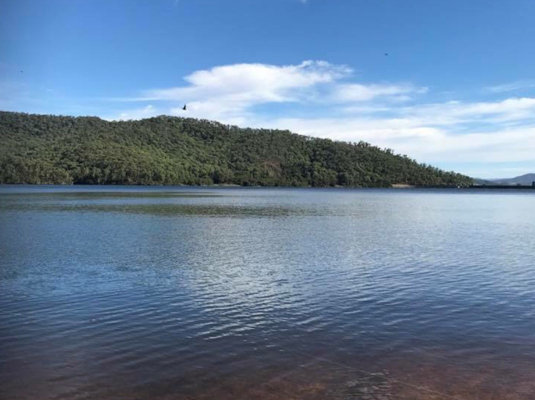 Myrtleford旅游景点-Lake Buffalo