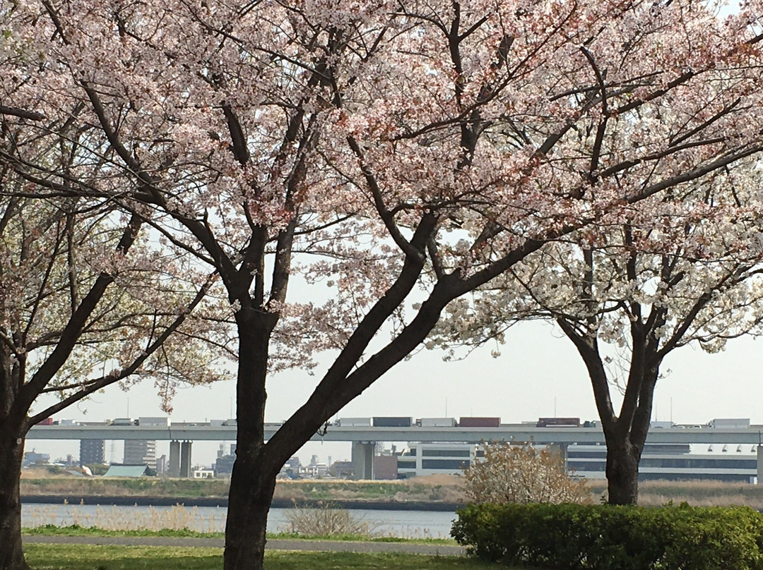 Ojima Komatsugawa Park景点图片