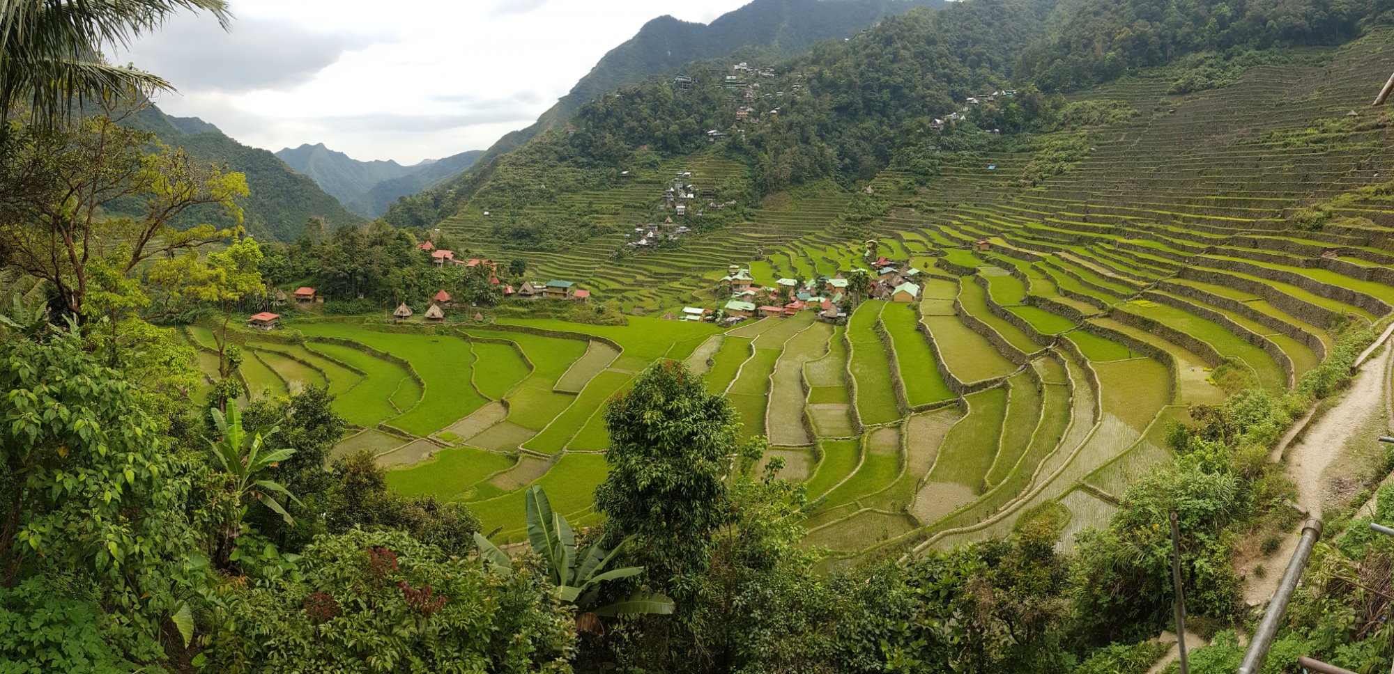 Batad View Inn and Restaurant-官方