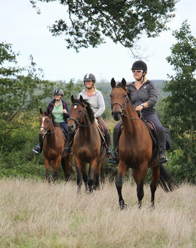 Poney Club de la Vie-Le Poire-sur-Vie必去景点