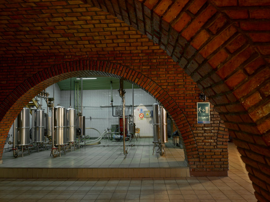 Bodega y Viñedos Garbin-圣拉斐尔必去景点