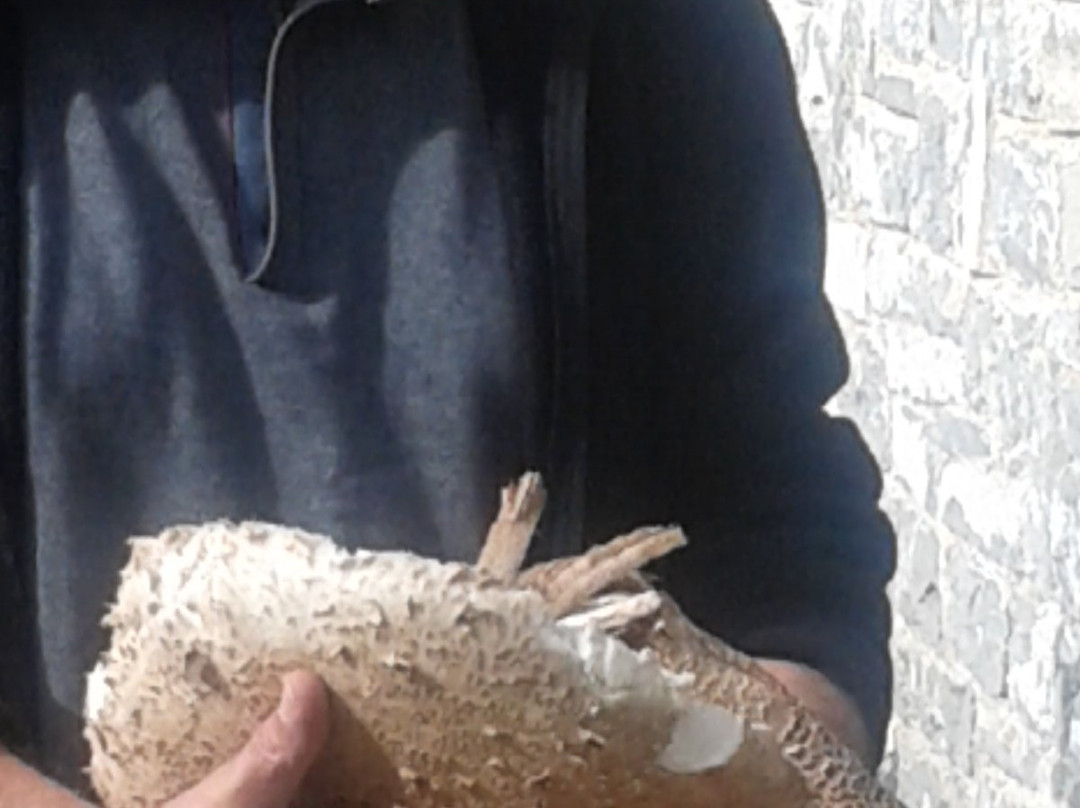 Valia Calda Hotel主图