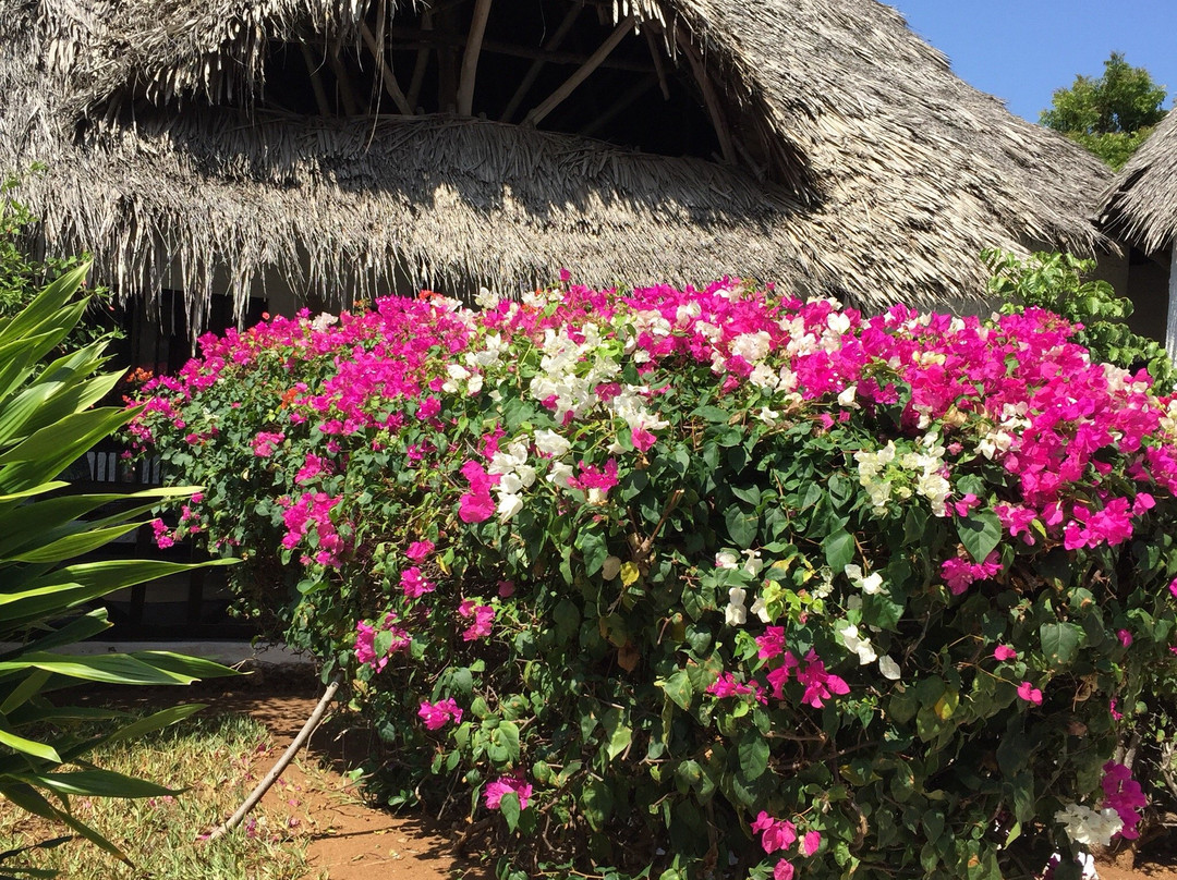 Dorado Cottage主图