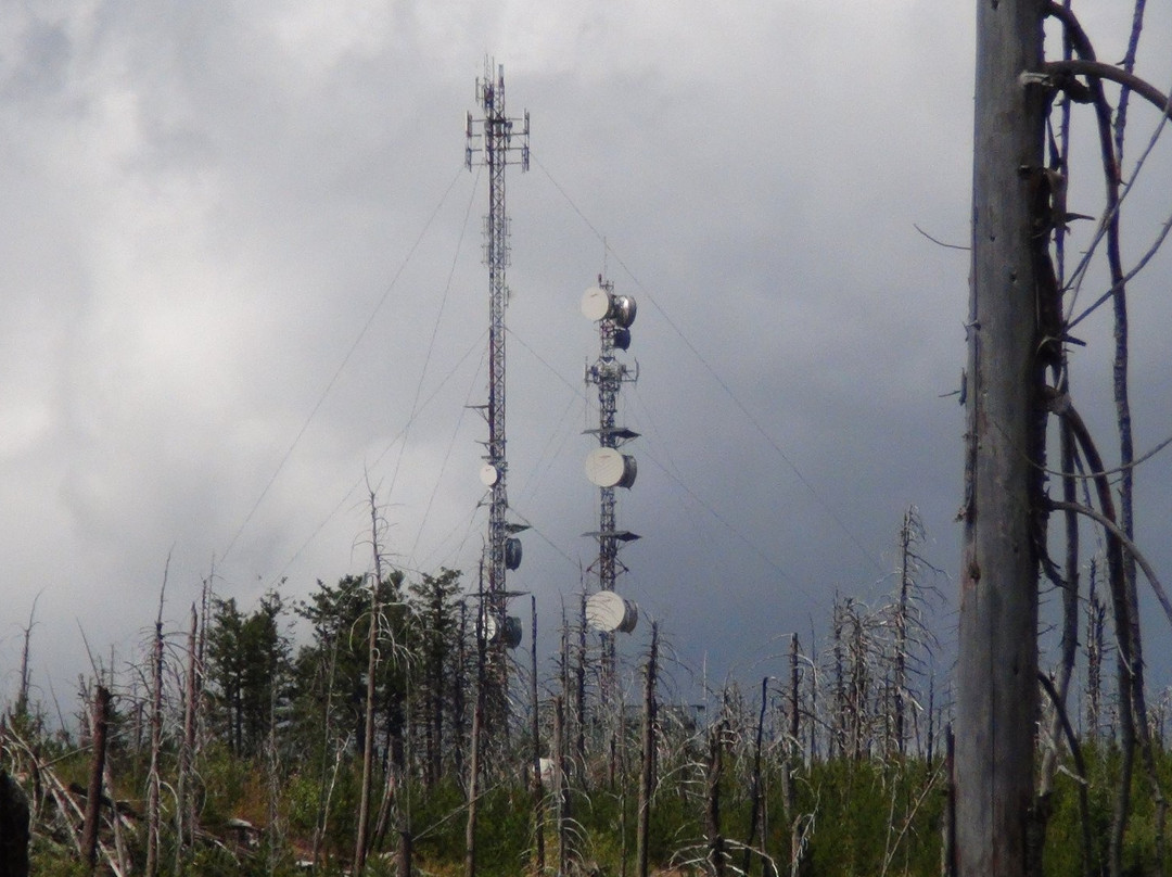 Okanagan Mountain Provincial Park-基洛纳必去景点