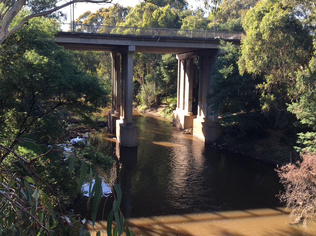 Burke rd billabong reserve-Kew East必去景点