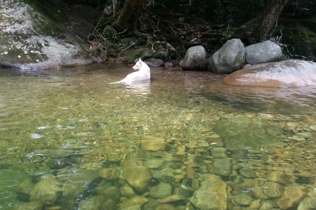 Poço do Padre-Guapimirim必去景点