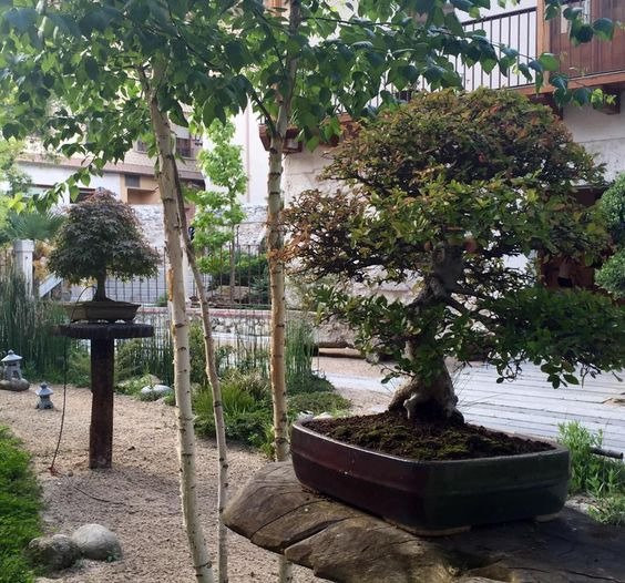 Centro de Interpretación de las Tenerias景点图片
