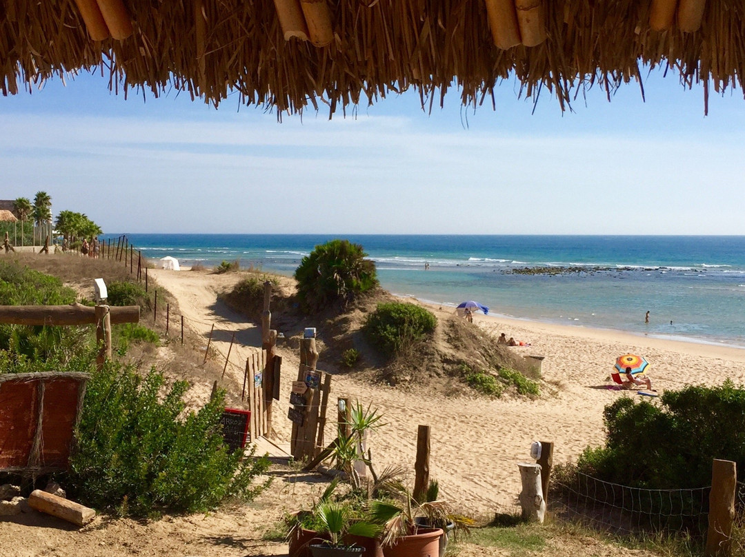La Palapa