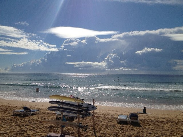 Manly Beach Hire-曼利议会必去景点