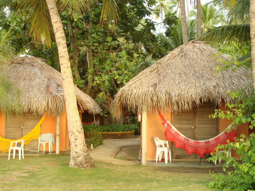 Pousada Doze cabanas主图