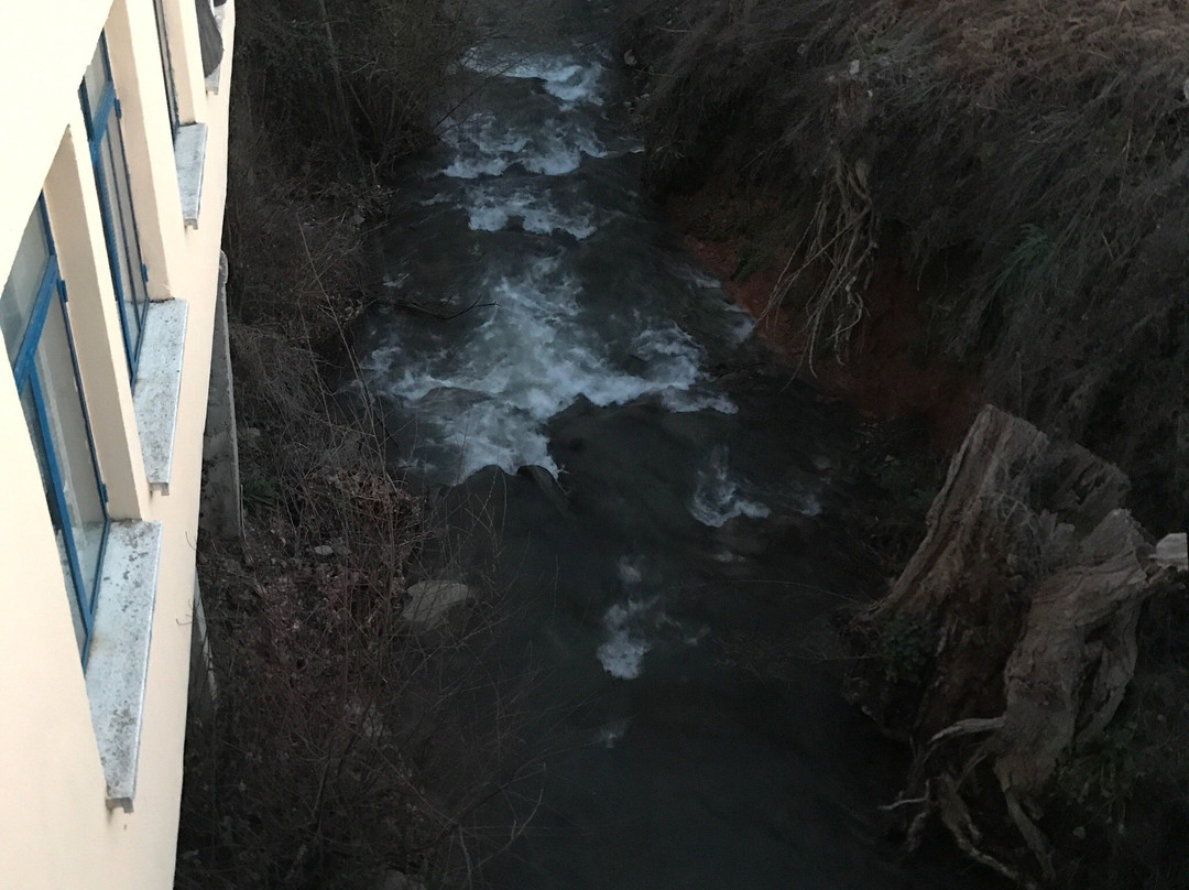 Las Fontaninas主图