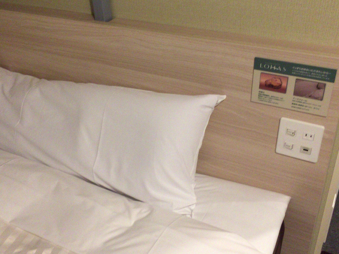 Super Hotel Yamanashi Minami Alps主图