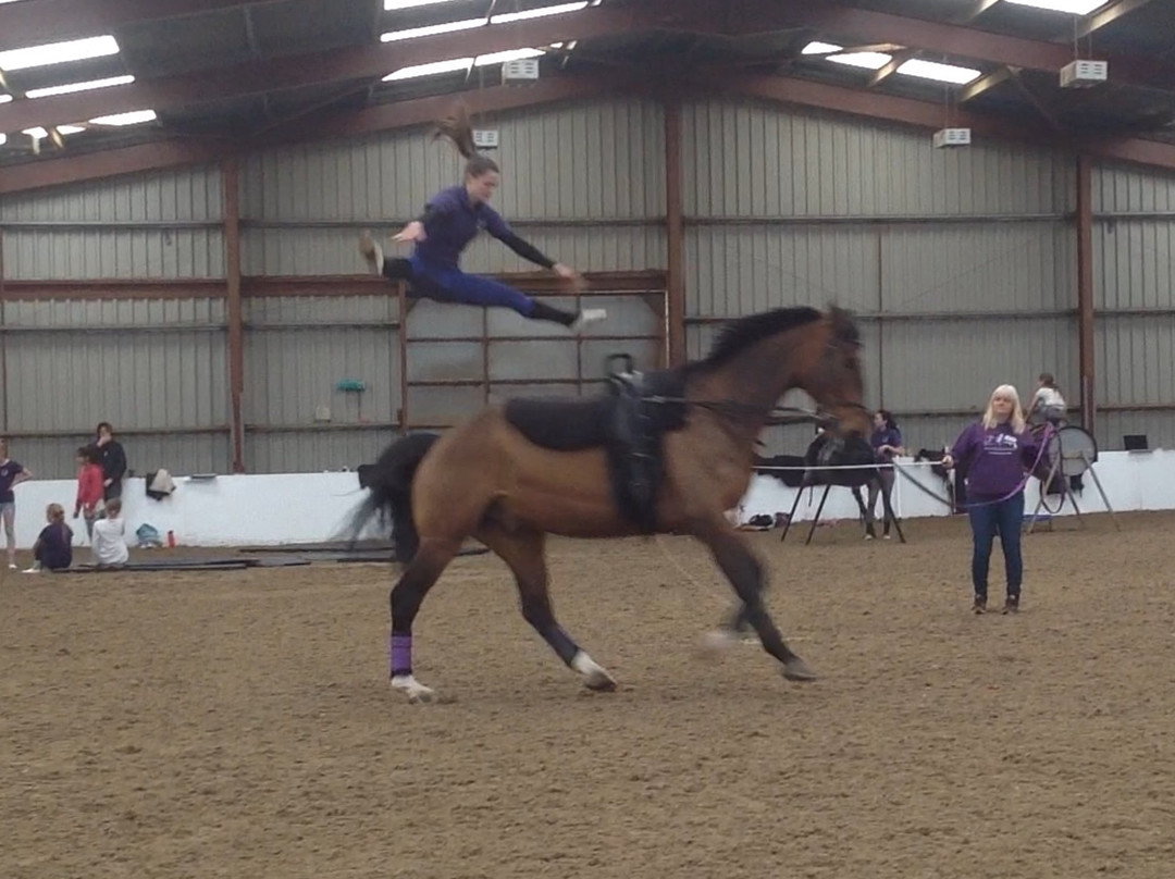Talygarn Equestrian Centre景点图片