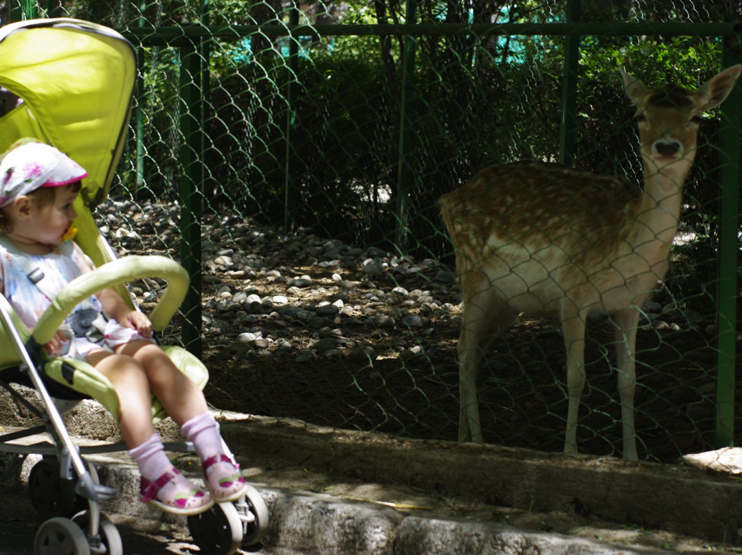 Bugu-Ene Zoo-Karakol必去景点