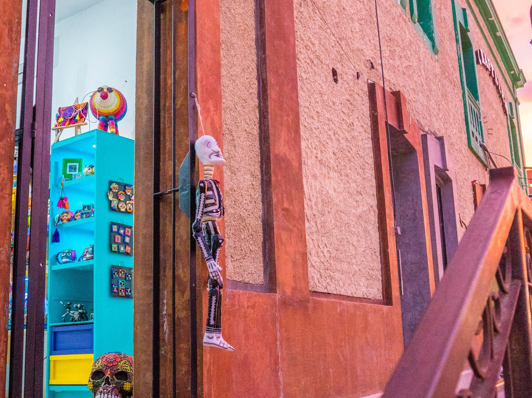 Amora Mexico-圣何塞卡波必去景点