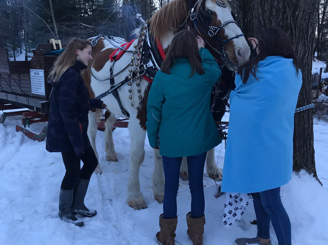 Willow Springs Garden-Wausau必去景点