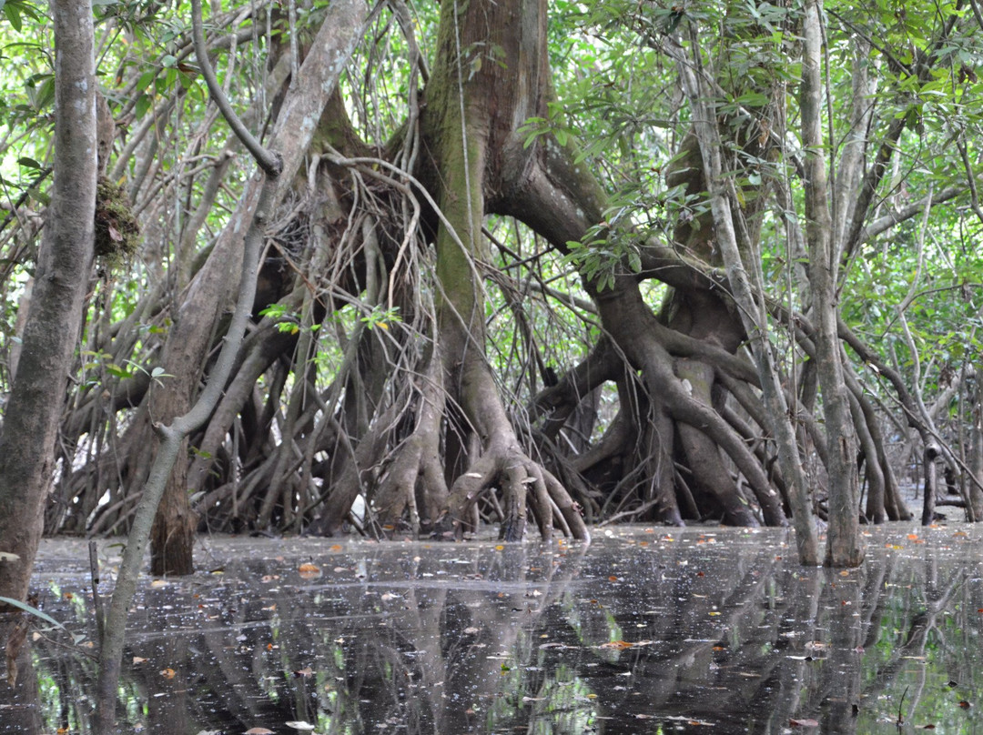 Site Touristique D'EBOGO-Mbalmayo必去景点