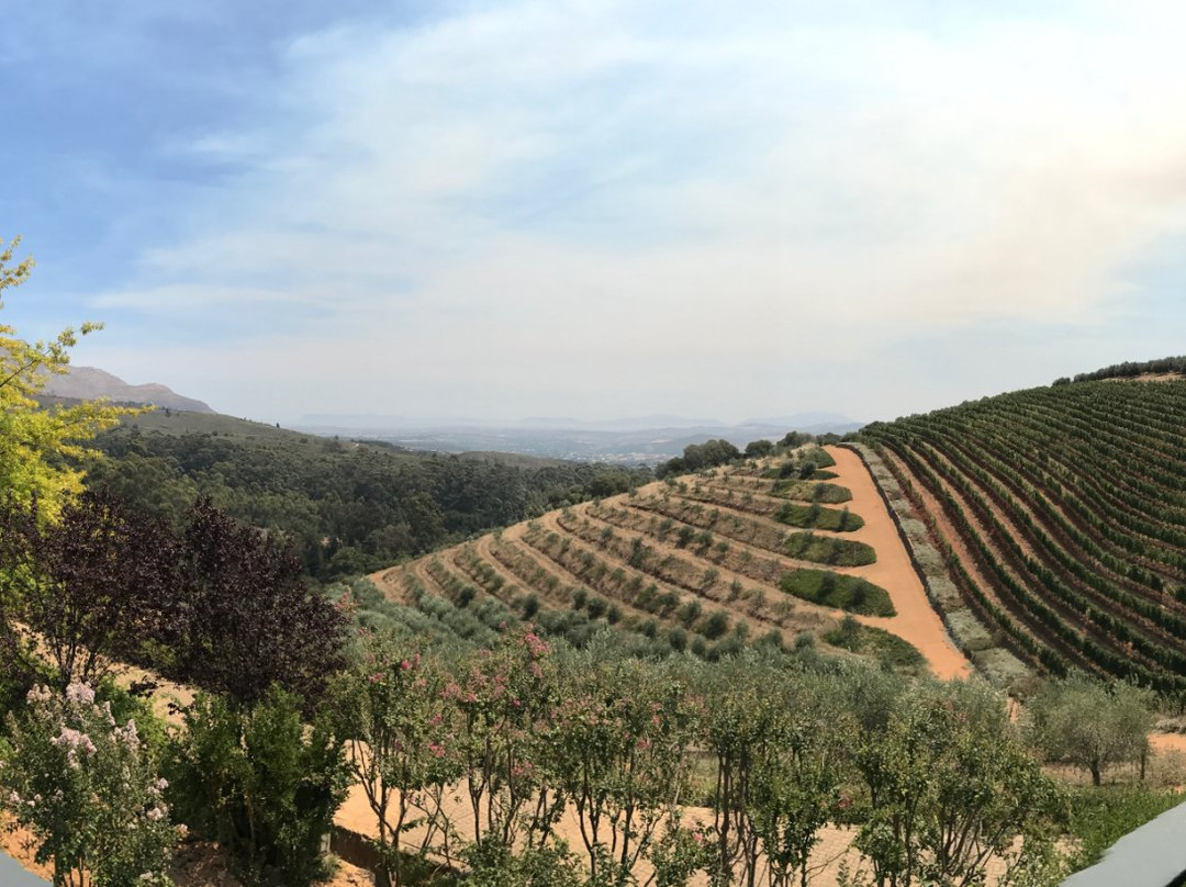 De Leeuwenhof Estate主图