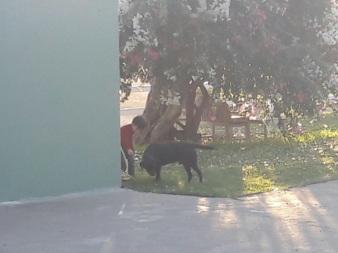 Al-Yasmine Guesthouse主图