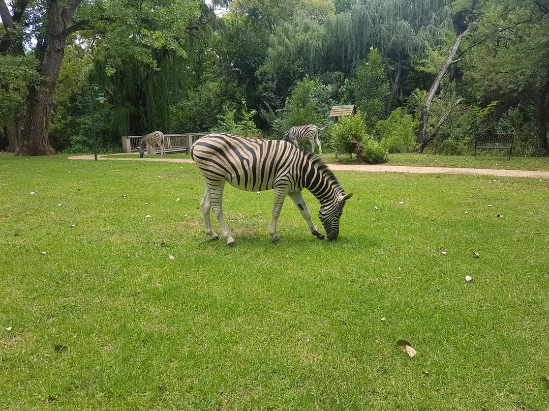 Valley Lodge & Spa主图