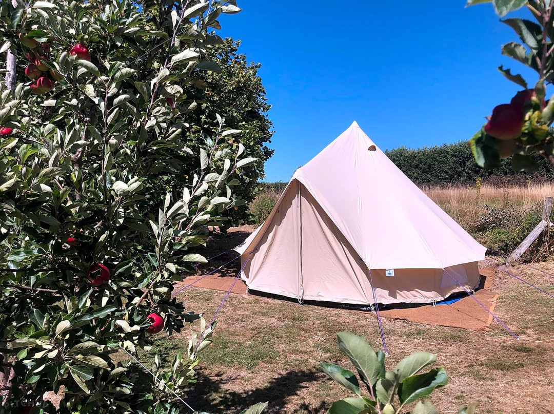 Woolton Farm - The Barn and Camping