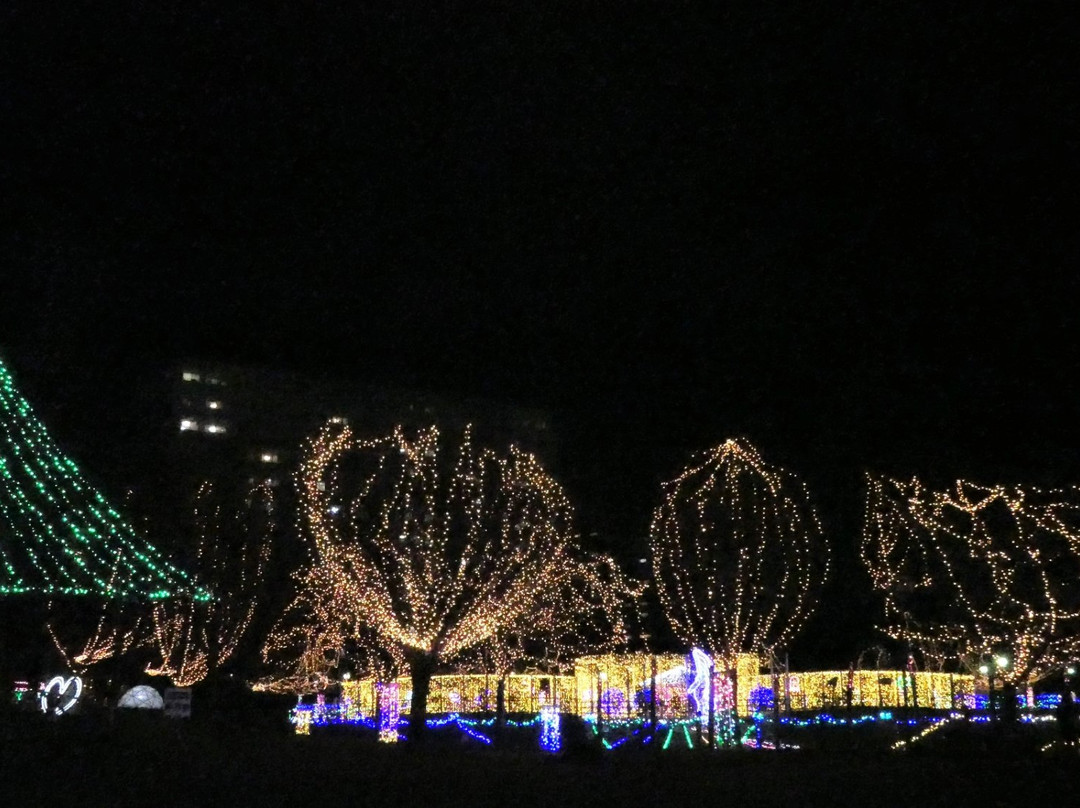 Tosu Chuo Park-鸟栖市必去景点