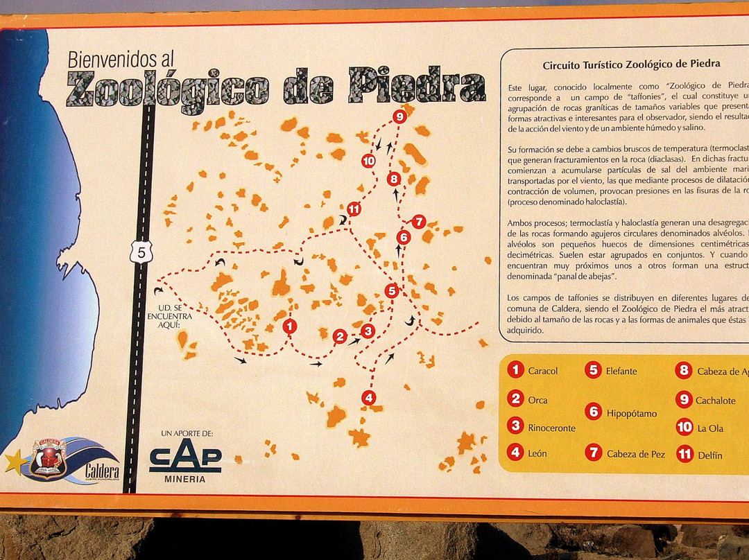 Zoologico de Piedra-Caldera必去景点
