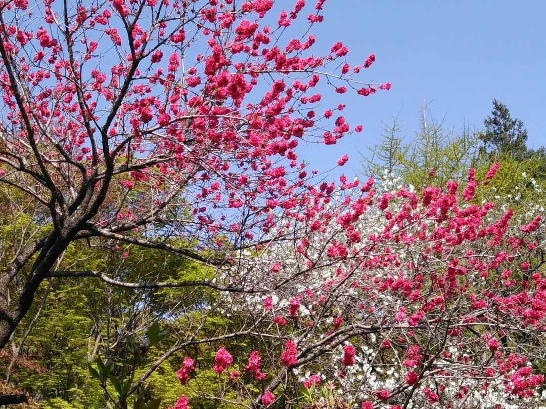 Gaesimsa Temple-瑞山市必去景点