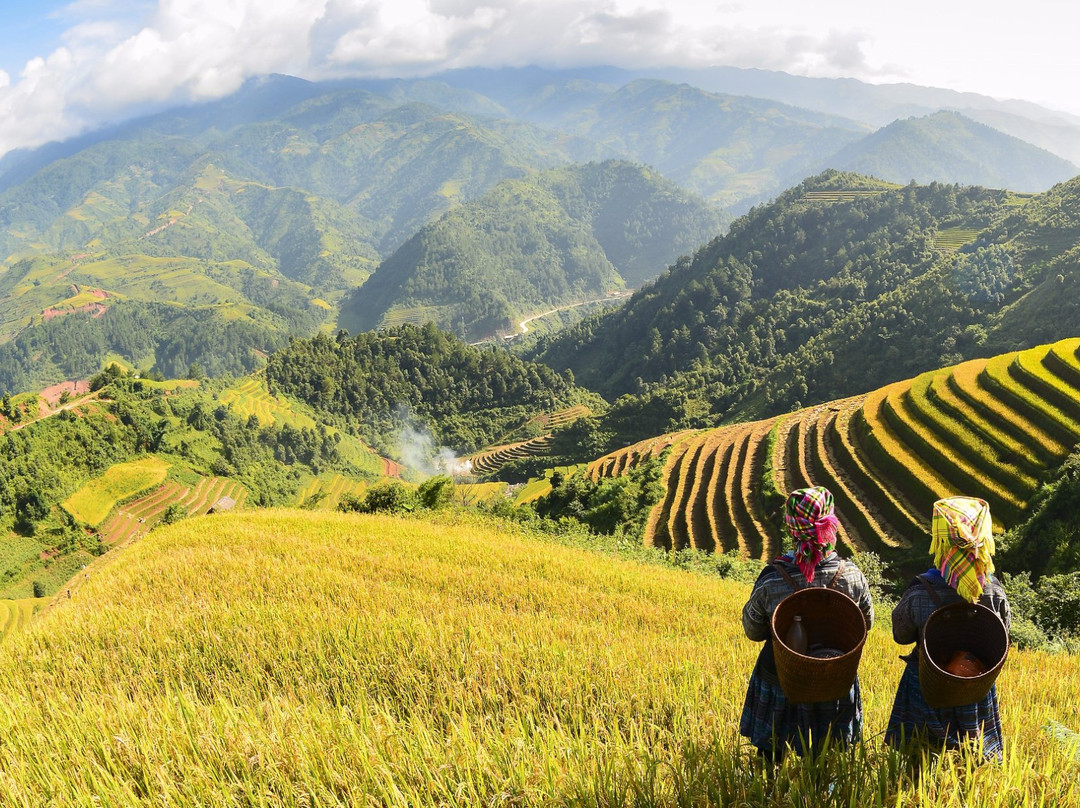 Good Morning Sapa