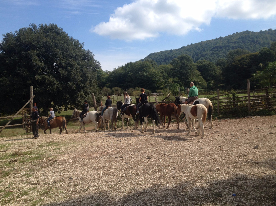 韦莱特里酒店住宿-B&B La Culla Dei Castelli Romani