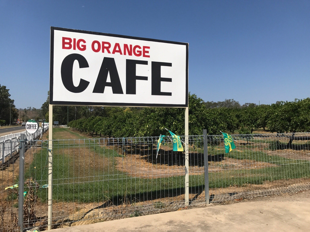 Gayndah's Big Orange-Gayndah必去景点