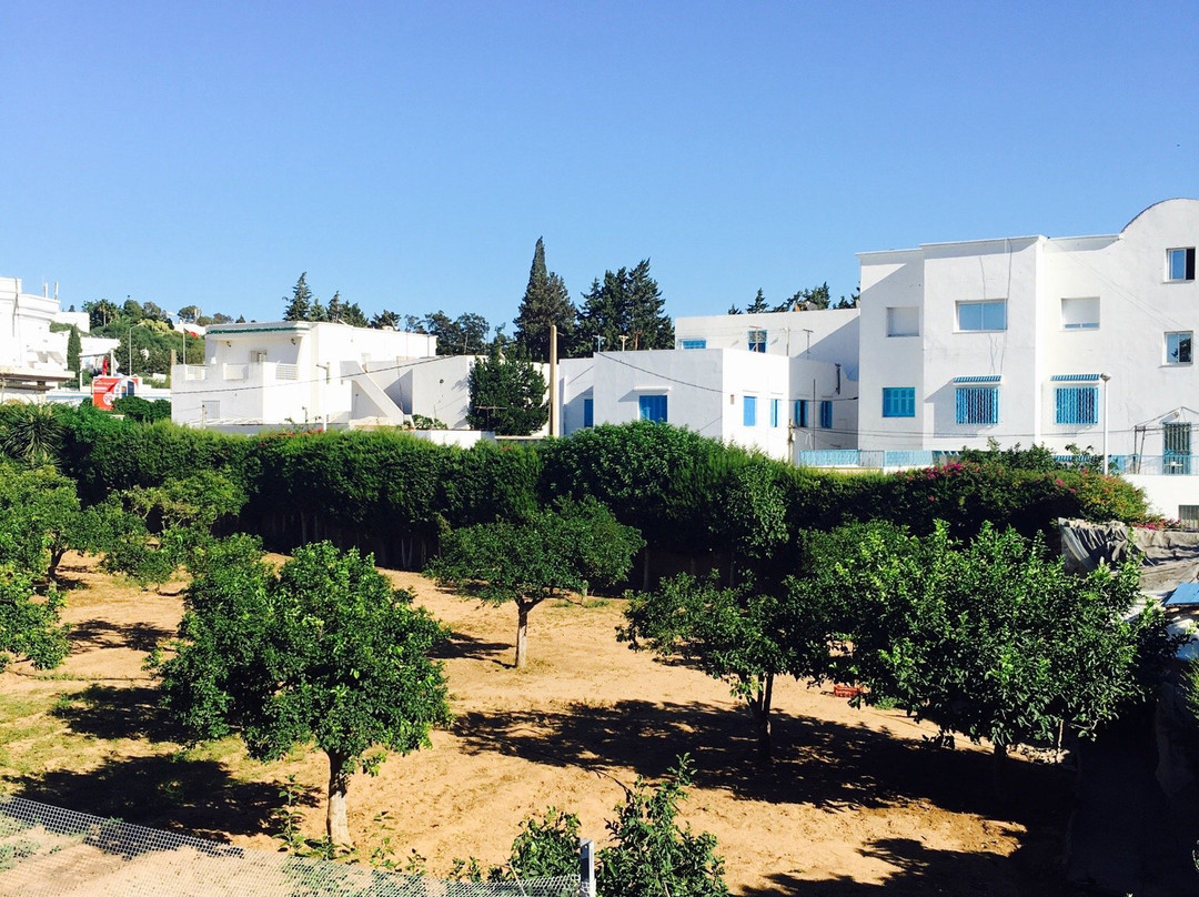 Villa Punique Sidi Bou Said主图