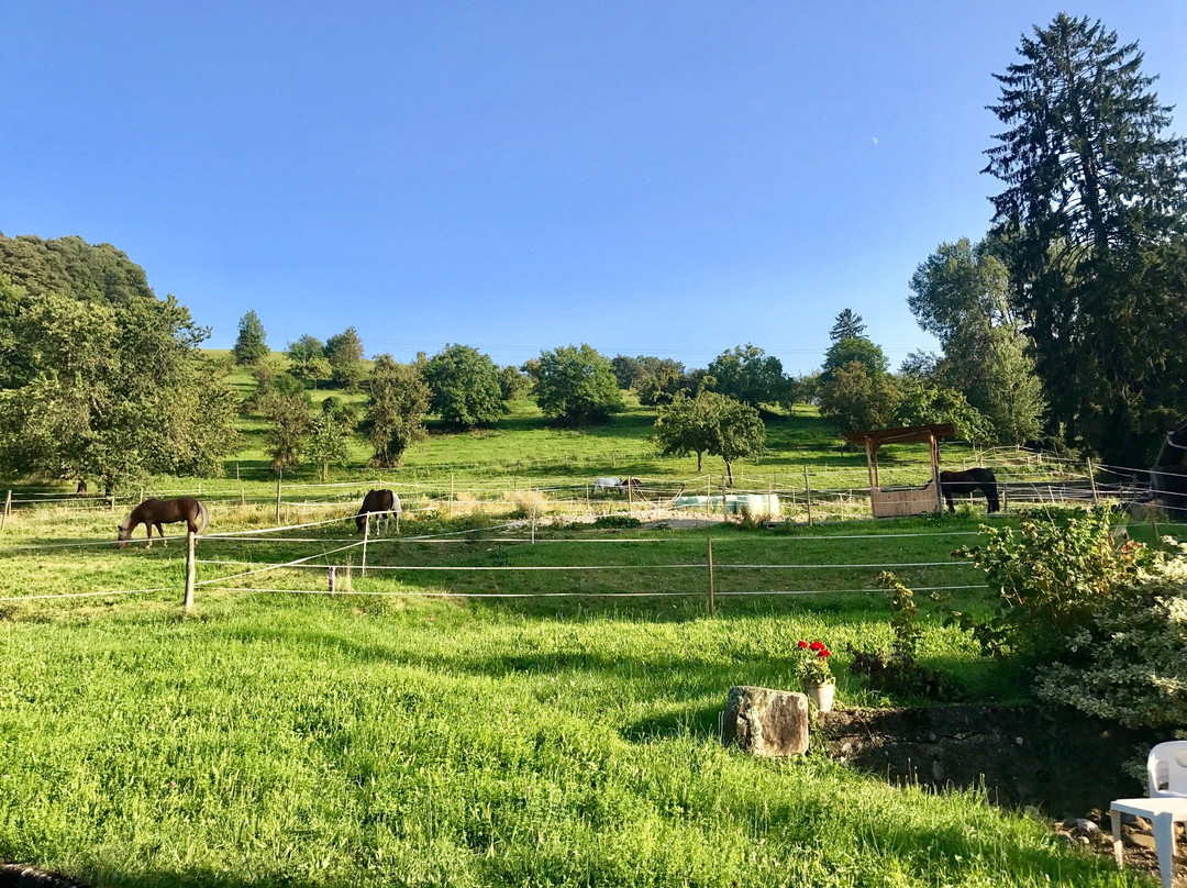 Minotel Tobererhof主图