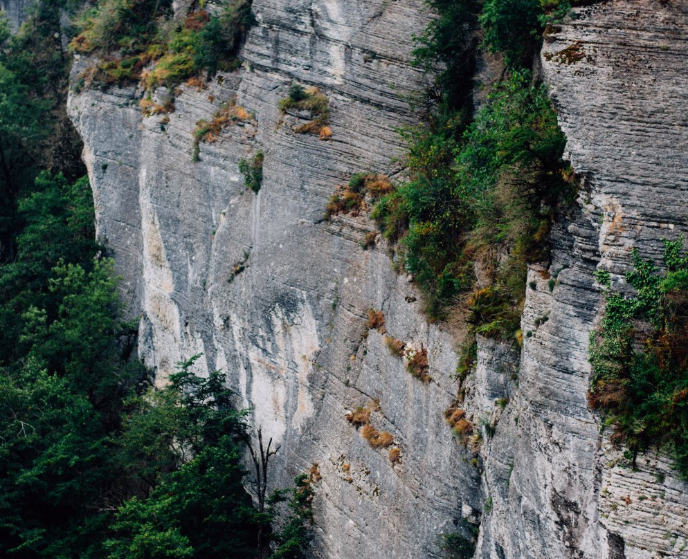 480 Minut-艾德勒必去景点