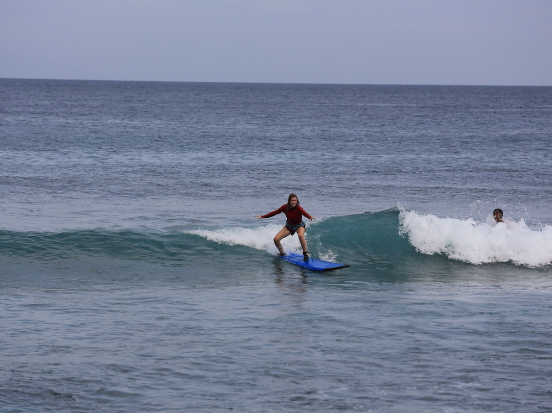 Senggigi Ocean Surf School-Senggigi必去景点
