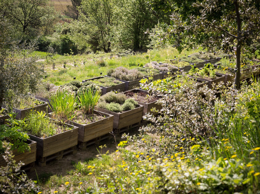 Jardin Botanique de La Citadelle景点图片